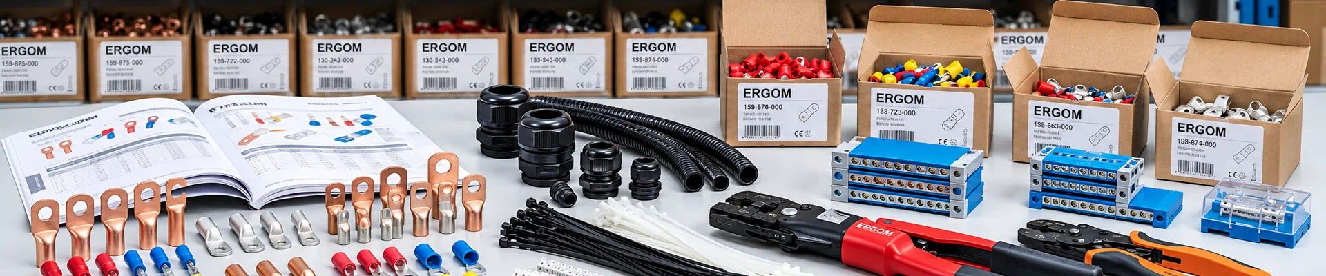 ERGOM